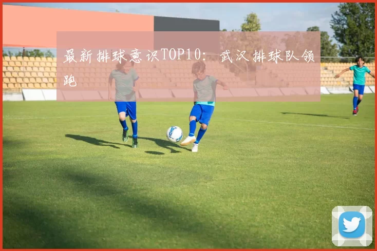 最新排球意识TOP10：武汉排球队领跑