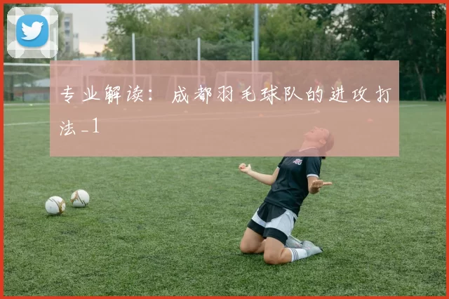 专业解读：成都羽毛球队的进攻打法_1