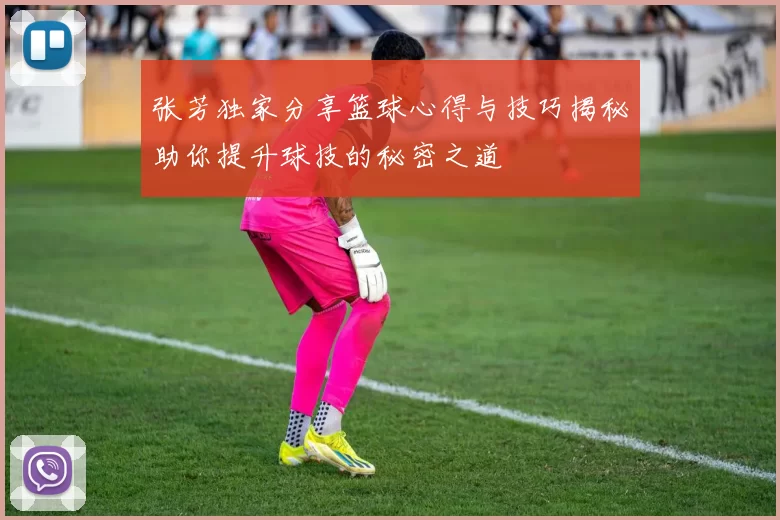 张芳独家分享篮球心得与技巧揭秘助你提升球技的秘密之道