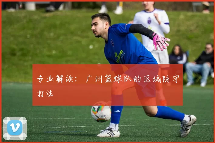 专业解读：广州篮球队的区域防守打法