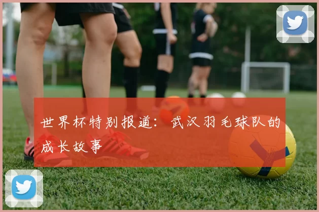 世界杯特别报道：武汉羽毛球队的成长故事