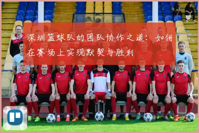 深圳篮球队的团队协作之道：如何在赛场上实现默契与胜利