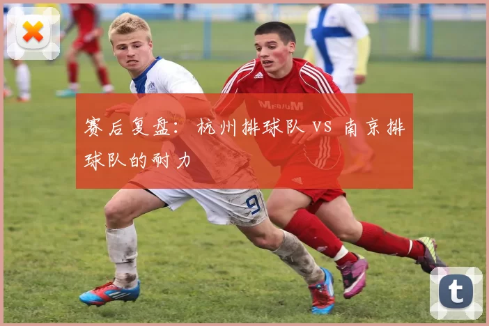 赛后复盘：杭州排球队 vs 南京排球队的耐力