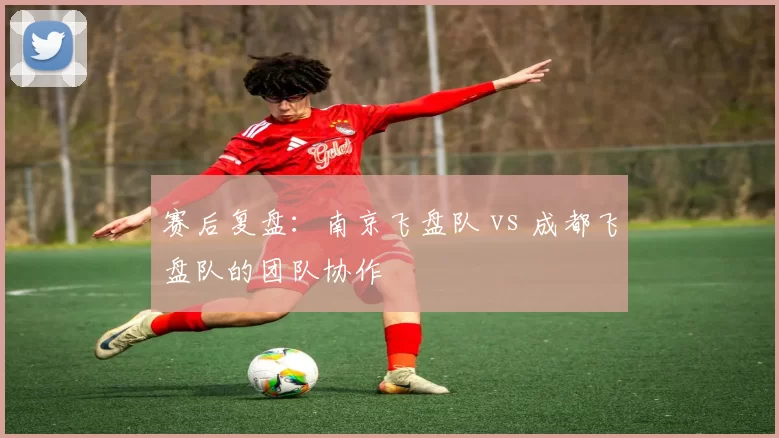 赛后复盘：南京飞盘队 vs 成都飞盘队的团队协作