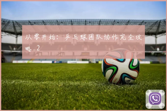 从零开始：乒乓球团队协作完全攻略_2